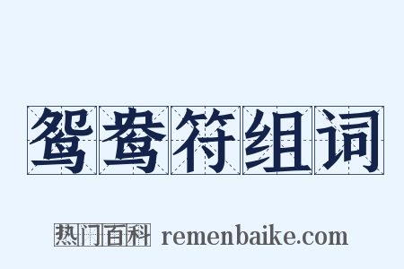 鸳鸯符组词是什么意思的图片